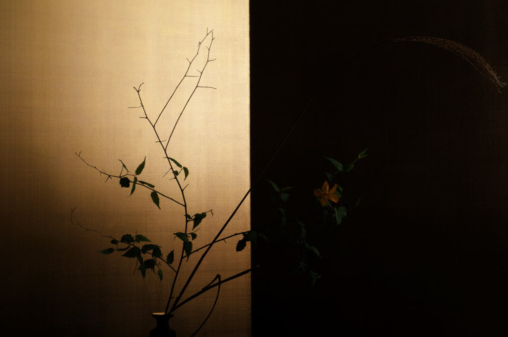 Keiichiro Muramatsu. Série 1