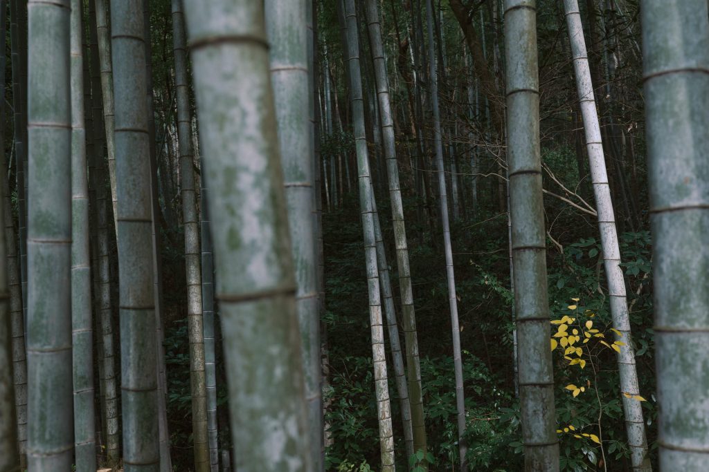 L’artisanat vu à travers le 35mm F1.4 DG II | Art