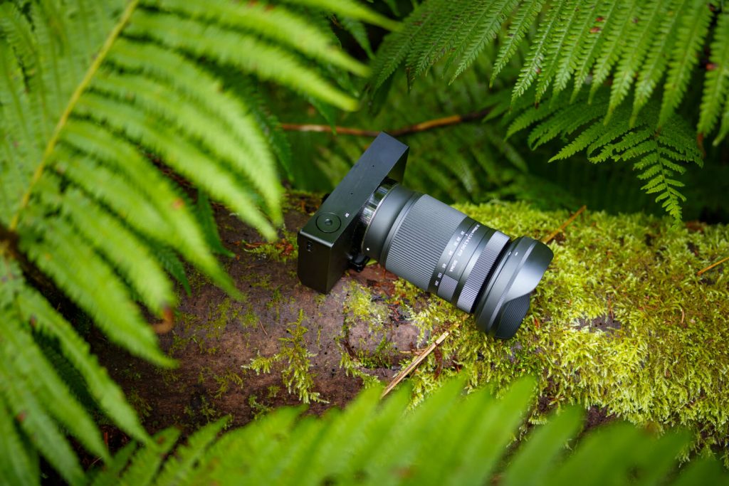 Exploration d&rsquo;un joyau de verdure avec le 20–200mm F3.5–6.3 DG | Contemporary